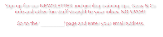 Sign up for our NEWSLETTER and get dog training tips, Cassy & Co info and other fun stuff straight to your inbox. NO SPAM!

Go to the ‘newsletter’ page and enter your email address.
