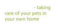 PET SITTING - taking care of your pets in your own home