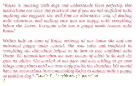 "Kajsa is amazing with dogs and understands them perfectly. Her instructions are clear and practical and if you are not confident with anything she suggests she will find an alternative way of dealing with situations and making sure you are happy with everything before she leaves. Everyone who has a puppy needs lessons with Kajsa! 

Within half an hour of Kajsa arriving at our house she had our untrained puppy under control. She was calm and confident in everything she did which helped us in turn to feel confident with Oscar. We phoned her when we were unsure of what to do and she gave us advice. She worked at our pace and was willing to go over things many times until we were happy with the situation. We would have no reservations in recommending Kajsa to anyone with a puppy or problem dog." Claudia F., Loughborough, posted on Touch Nottingham & Linked In